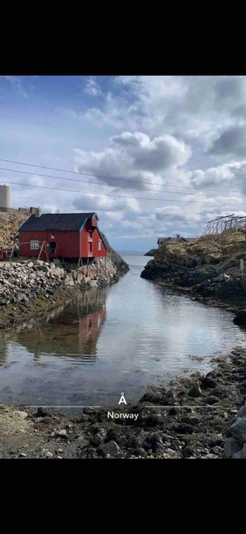 Kb Basement Apartment Sørvågen Zewnętrze zdjęcie