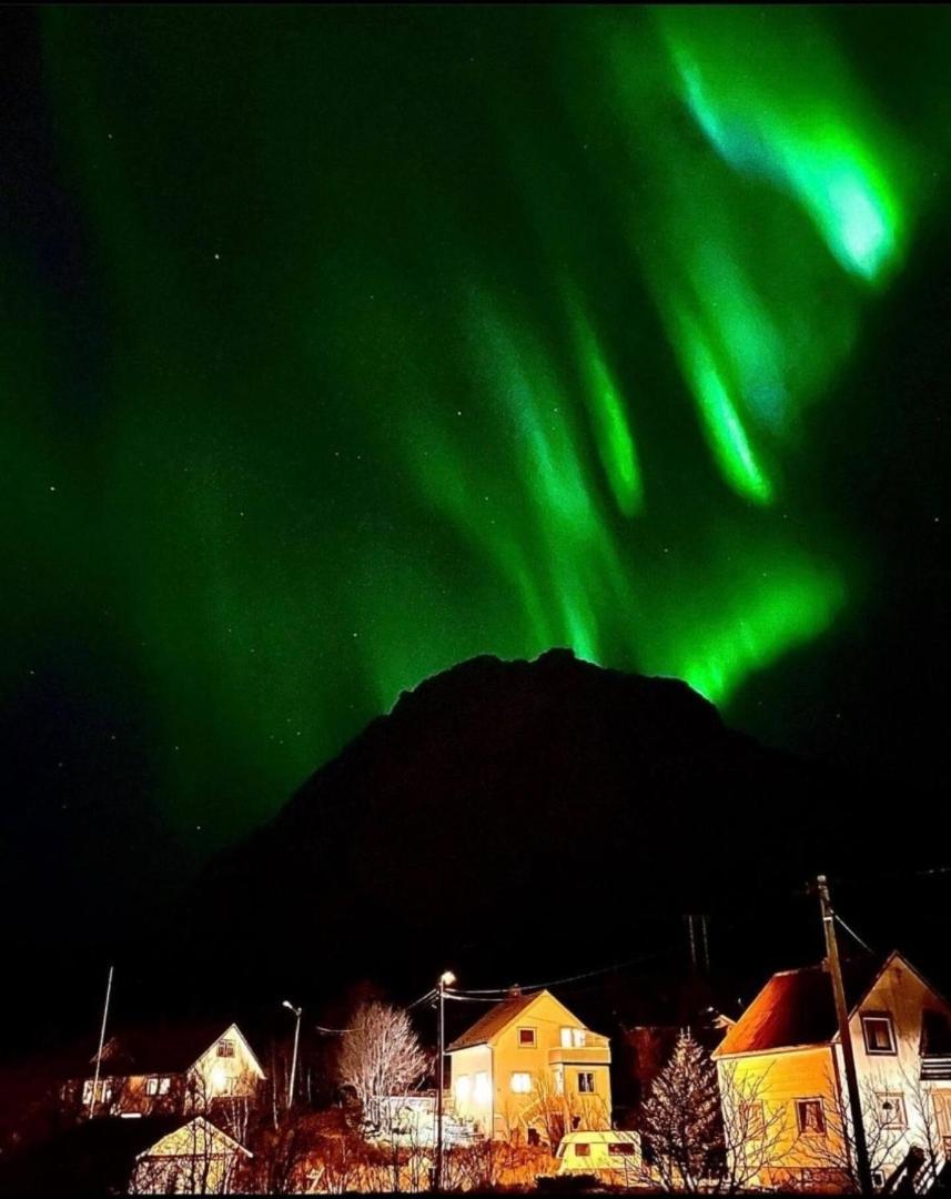 Kb Basement Apartment Sørvågen Zewnętrze zdjęcie